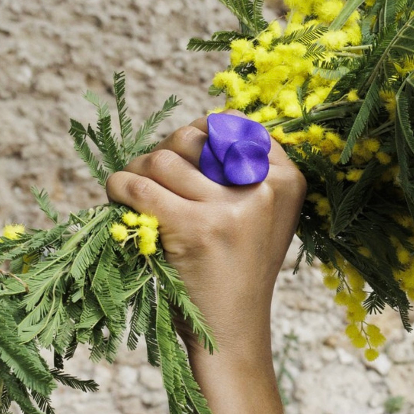 Ogni fiore merita di sbocciare